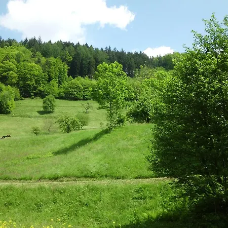 Finken, Gaestezimmer An Der Rench Guest house 3*